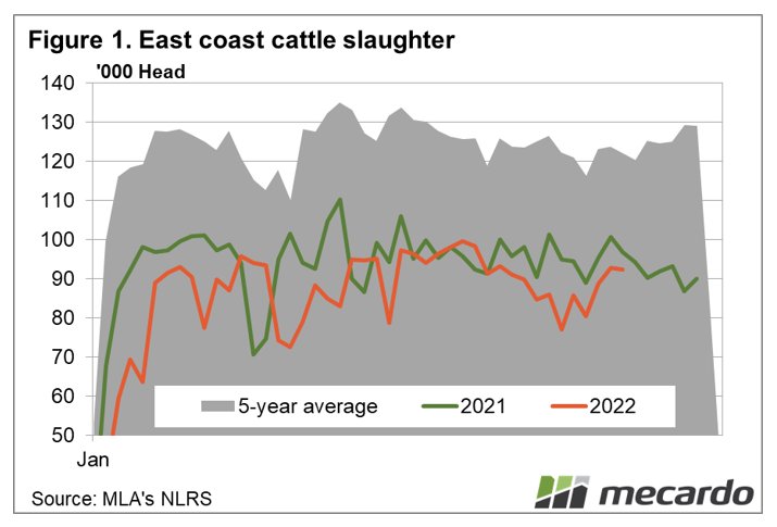 East Coast cattle slaughter - 5 year average