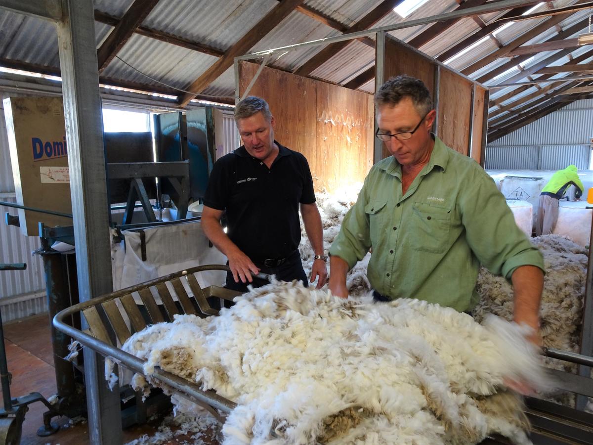 selling wool